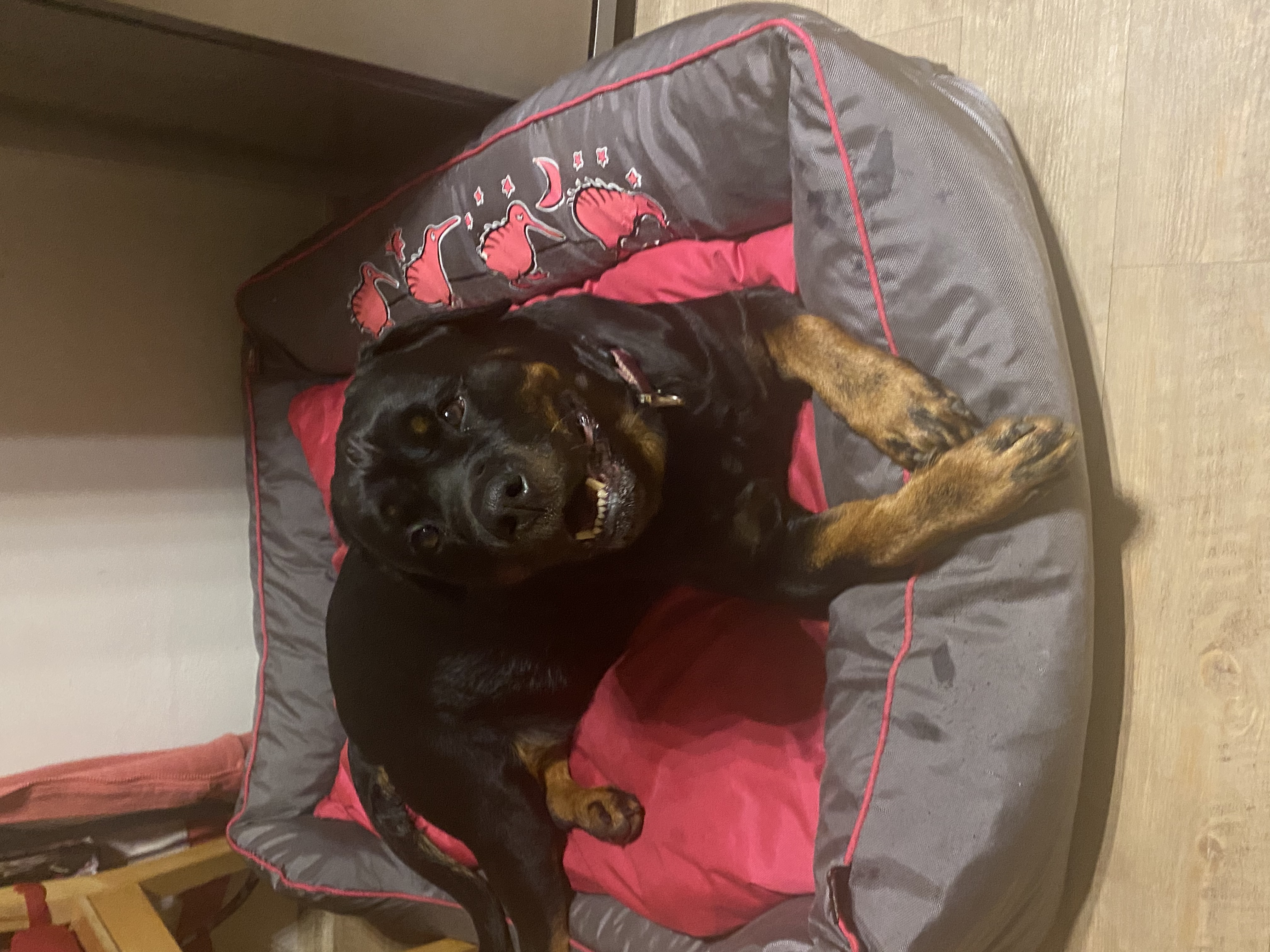 F5684EAA-A0B5-4249-AEA1-6AB4F98D308B